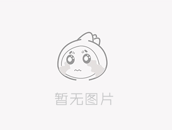 .net core 实现常用属性设置默认值